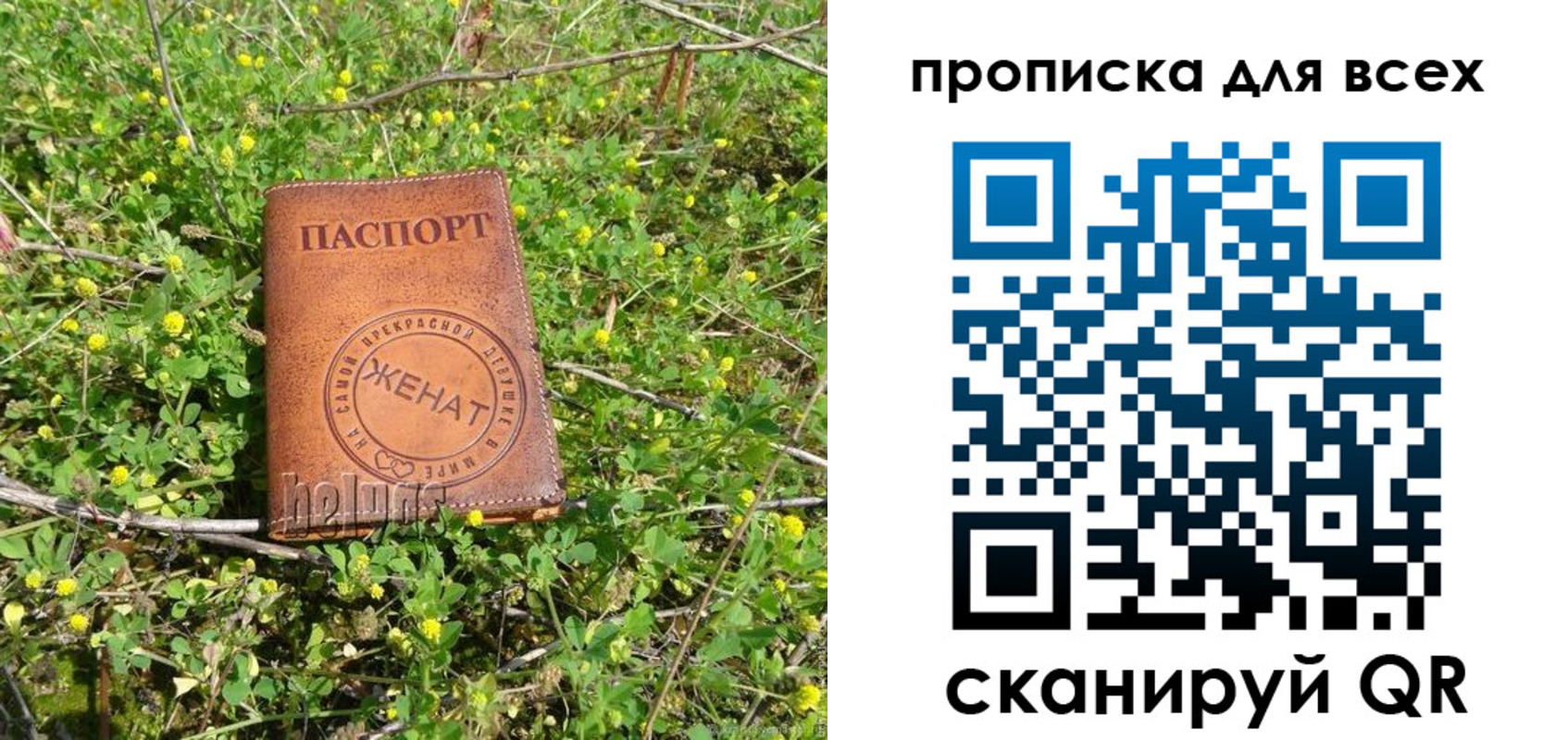 прописка поиск в Мамадыше